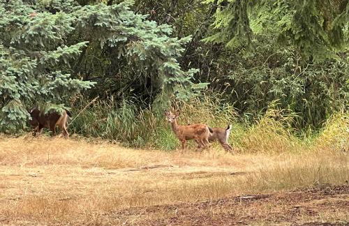 Private Lake House - Foto 37