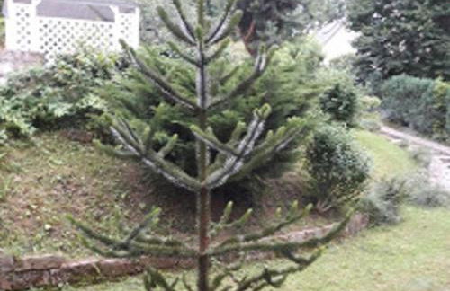 2 Norit Schlosser Comfortable Holiday Residence - Foto 21