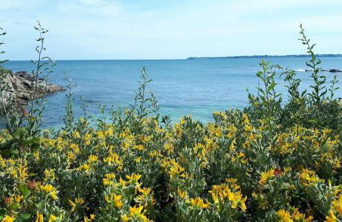 Pieds Dans L'Eau T2 Archi Cosy - Vue mer 180 - Foto 27