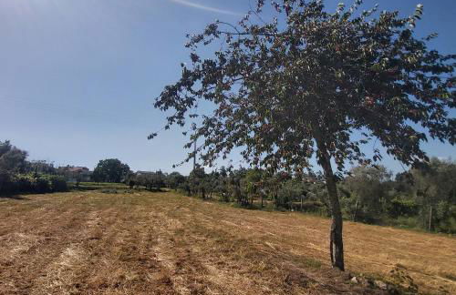 Quinta JR - Casa de campo - Foto 31