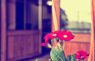 Casas los Cantores - Foto 60