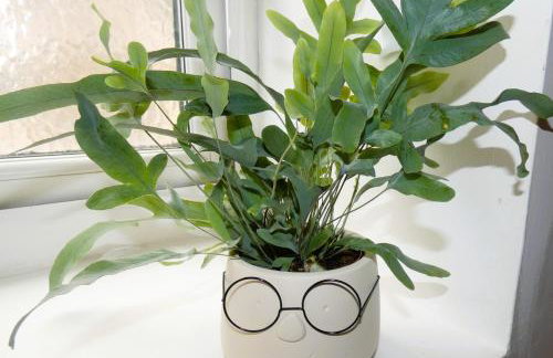 The Hideaway Holmfirth - Photo 13