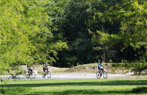 La Villa Du Lac- 3 rooms for 6 people - Foto 31