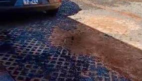 104 FLATS MAGGUINE Interlagos - Foto 2