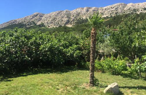 Apartments Juranic I - Photo 29