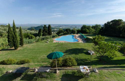 Frantoio di Corsanico - Foto 7