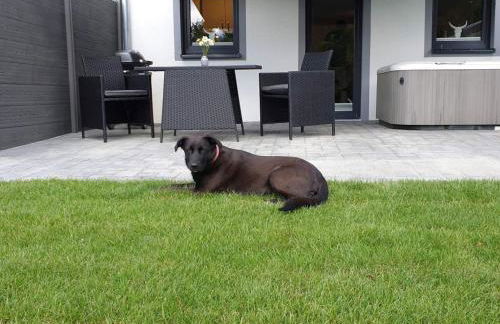 Eifel Dream Kalkmulde - Foto 9