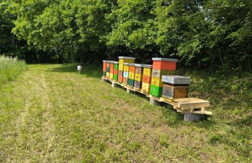 Studio apartment Puzich - Photo 16