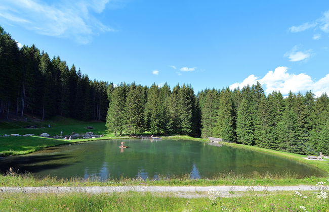 Maiensäss Superior - Foto 34