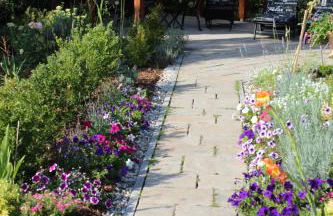 Ferienwohnung Libelle - Foto 16