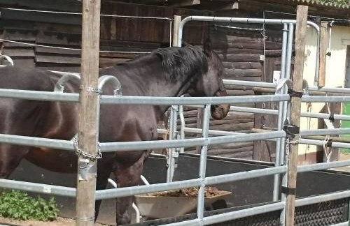 Apartment Apartment Laurence by Interhome - Foto 30