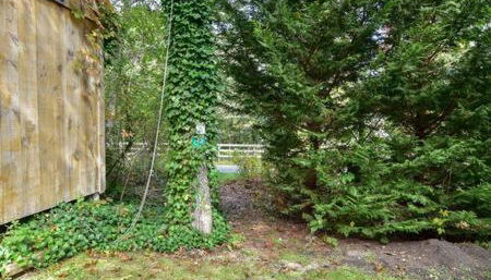 Bring your pups to Chatham Direct access to the Cape Cod Rail Trail - Foto 4