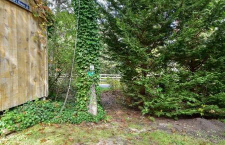 Bring your pups to Chatham Direct access to the Cape Cod Rail Trail - Foto 4