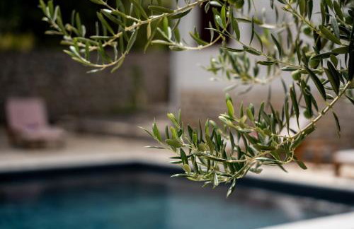 Villa Pag Dubrava Relax with Pool - Photo 11