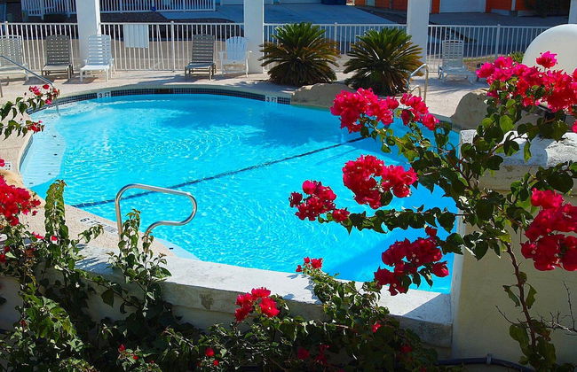 Ad649-sol Searcher - Foto 4