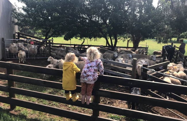 Jilly Park Farm Interactive Experience - Foto 39