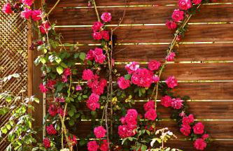 Villa Doreta - Foto 54