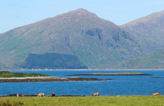 Lurach Flat - Photo 7