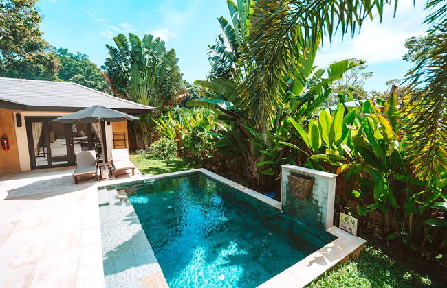 Alanta Villa - Photo 43