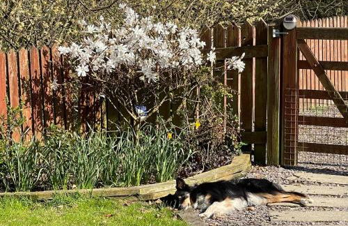 Rural, Secure Garden, Woodland Walks, 23 min to beach - Foto 21