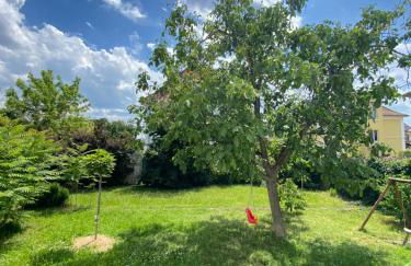 BookingAlsace - Maison Mittelharth Parking Jardin - Foto 49