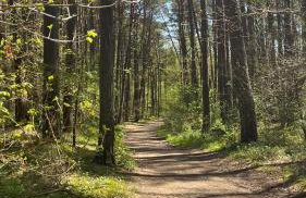 Biały domek - Photo 30