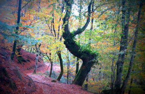 CASA RURAL Urruska - Foto 55