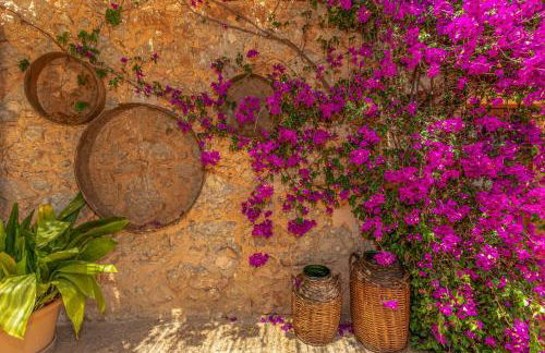 Binissalem - 3523-90 Mallorca - Foto 11