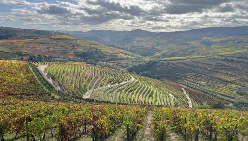 Casa Cidade Jardim - Foto 2