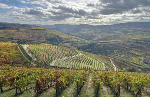 Casa Cidade Jardim - Foto 2