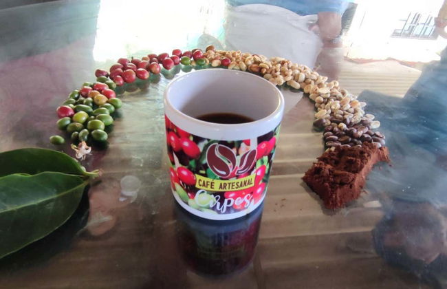 Tour do café por San Rafael - Foto 1