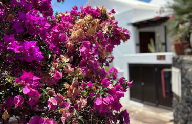 La Necora Lanzarote - Foto 11