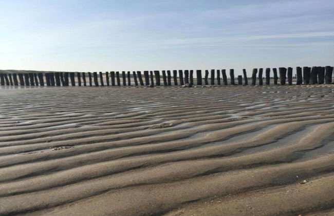 Luxurious, Stately Villa With Washing Machine, on a Holiday Park, Beach at 1 km - Photo 27