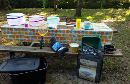 Echo Valley Outdoor Oasis Campsite - Foto 9