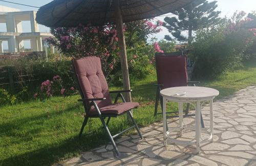 Greece-Kyllini am Strand ruhiges OG, Tierfreunde - Foto 23