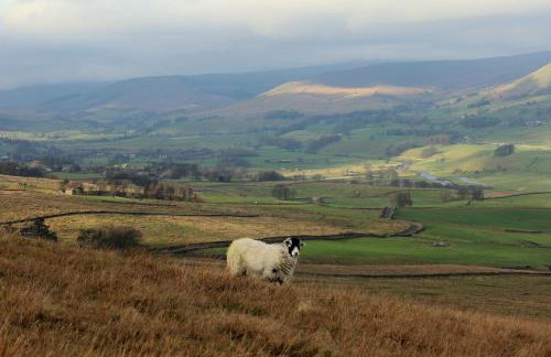 Beebole Cottage - Foto 34