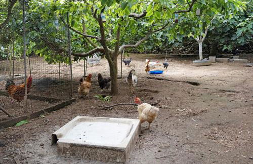 Casa das Rosas - Photo 44