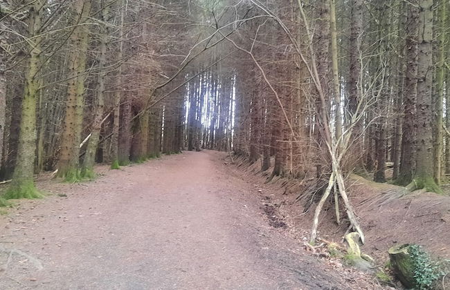 Cozy Lanarkshire Apartment With a View - Foto 16