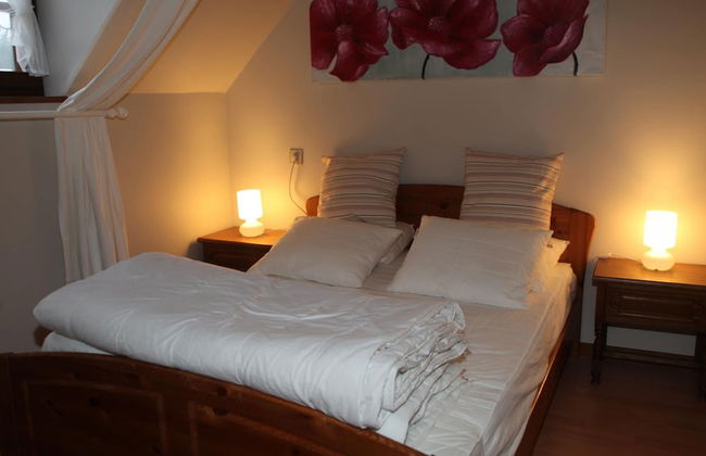 House in the Countryside on a Large Estate - Foto 4