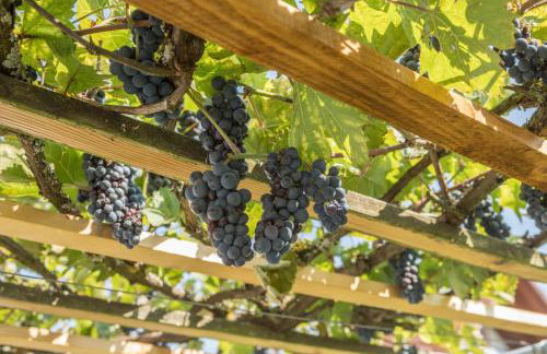 Ferienwohnung Lilo - Foto 20