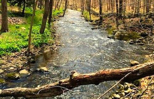 Peaceful Getaway above a Beautiful Yoga Studio near Devil's Den Nature Preserve, Connecticut - Foto 29