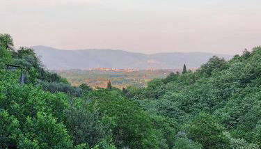 Appartamenti Anguria Toscana - Photo 5