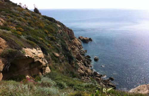 Campese Apartments - Foto 20