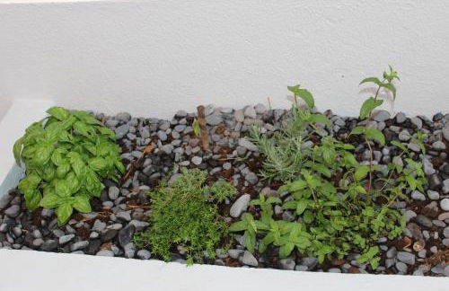 Aqua Sea House - Foto 29