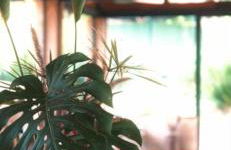 Refúgios Na Mantiqueira - Foto 48