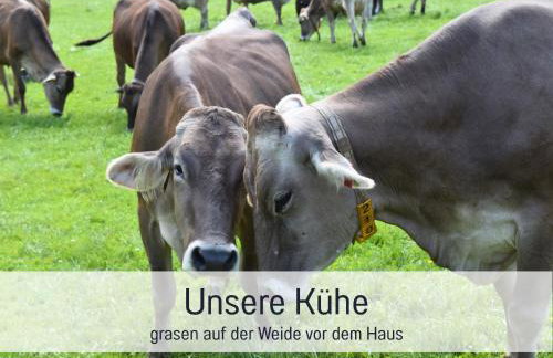 Bauernhof Finkel - Ferienwohnungen mit Balkon - Bergsicht - Traktor mitfahren - Tiere streicheln - entspannter Familienurlaub - zentrale Lage nahe Oberstdorf - Foto 66