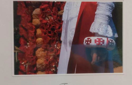 Apartamento Tomar - Foto 17