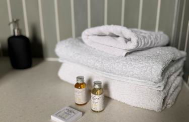 maison individuelle avec jardin terrasse proche Lyon croix rousse - Foto 35