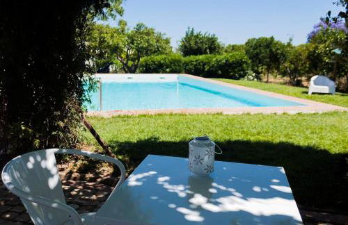 Horta das Laranjas - Foto 13