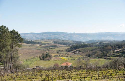 Quinta da Eira Douro Valley - Foto 45